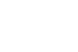 neotopy.png